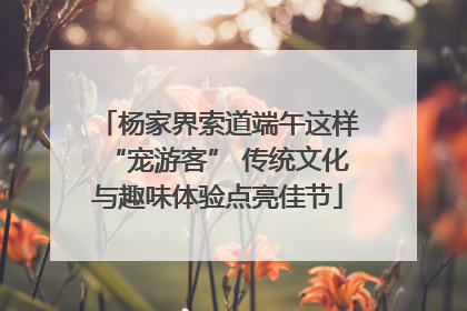 杨家界索道端午这样“宠游客” 传统文化与趣味体验点亮佳节