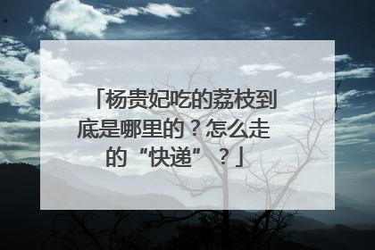杨贵妃吃的荔枝到底是哪里的？怎么走的“快递”？