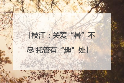 枝江：关爱“暑”不尽 托管有“趣”处