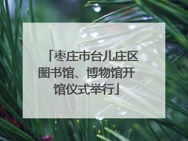 枣庄市台儿庄区图书馆、博物馆开馆仪式举行