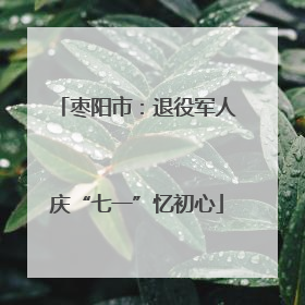 枣阳市：退役军人庆“七一”忆初心