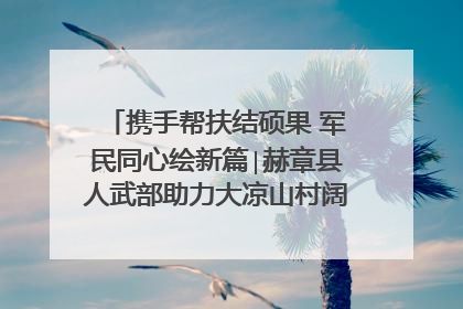 携手帮扶结硕果 军民同心绘新篇∣赫章县人武部助力大凉山村阔步乡村振兴路