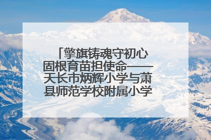 擎旗铸魂守初心 固根育苗担使命——天长市炳辉小学与萧县师范学校附属小学结对共建活动纪实