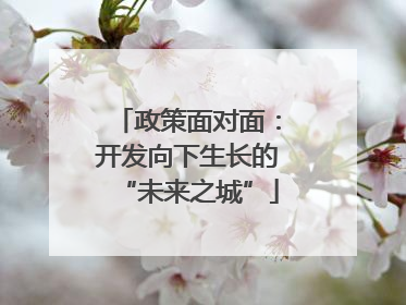政策面对面：开发向下生长的“未来之城”