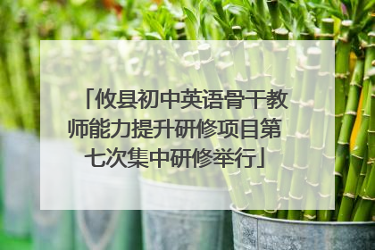 攸县初中英语骨干教师能力提升研修项目第七次集中研修举行