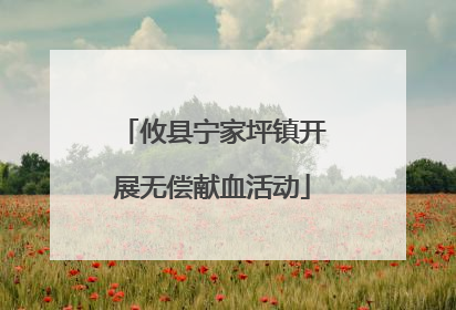 攸县宁家坪镇开展无偿献血活动