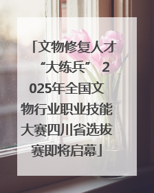 文物修复人才“大练兵” 2025年全国文物行业职业技能大赛四川省选拔赛即将启幕