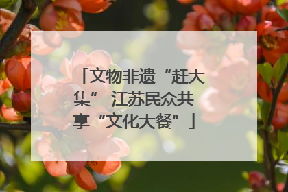 文物非遗“赶大集” 江苏民众共享“文化大餐”