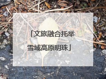 文旅融合托举雪域高原明珠