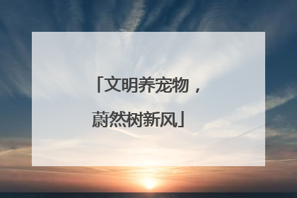 文明养宠物,蔚然树新风