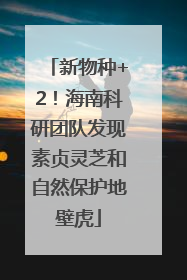 新物种+2！海南科研团队发现素贞灵芝和自然保护地壁虎