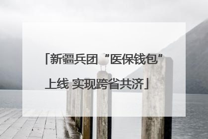 新疆兵团“医保钱包”上线 实现跨省共济