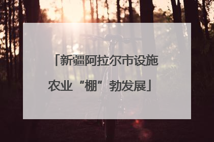 新疆阿拉尔市设施农业“棚”勃发展