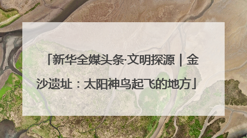 新华全媒头条·文明探源｜金沙遗址：太阳神鸟起飞的地方