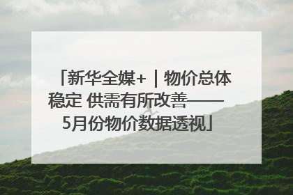 新华全媒+｜物价总体稳定 供需有所改善——5月份物价数据透视