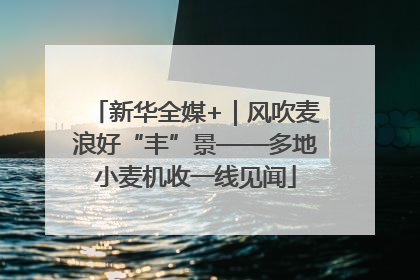 新华全媒+｜风吹麦浪好“丰”景——多地小麦机收一线见闻
