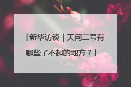 新华访谈｜天问二号有哪些了不起的地方？