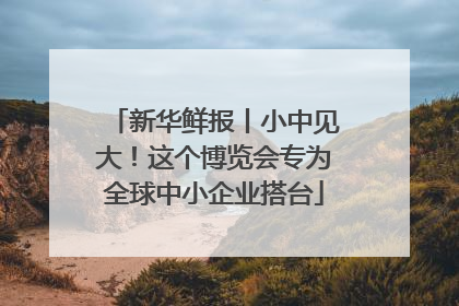 新华鲜报丨小中见大！这个博览会专为全球中小企业搭台