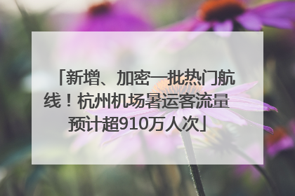 新增、加密一批热门航线！杭州机场暑运客流量预计超910万人次