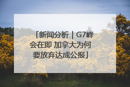 新闻分析｜G7峰会在即 加拿大为何要放弃达成公报