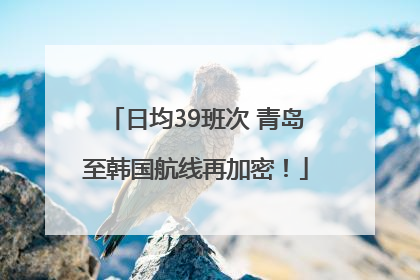 日均39班次 青岛至韩国航线再加密！