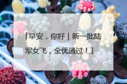 早安，你好｜新一批陆军女飞，全优通过！
