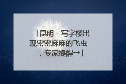 昆明一写字楼出现密密麻麻的飞虫，专家提醒→