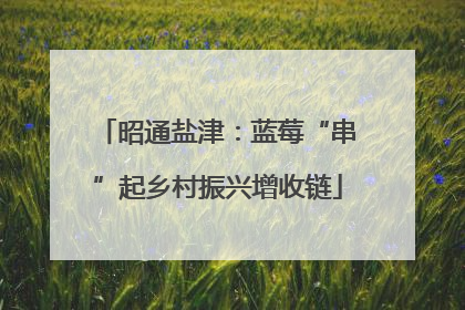 昭通盐津：蓝莓“串”起乡村振兴增收链