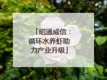 昭通威信：循环水养虾助力产业升级