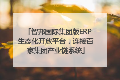 智邦国际集团版ERP生态化开放平台，连接百家集团产业链系统