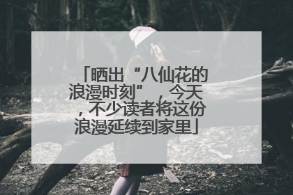晒出“八仙花的浪漫时刻”，今天，不少读者将这份浪漫延续到家里