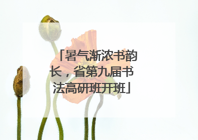 暑气渐浓书韵长，省第九届书法高研班开班