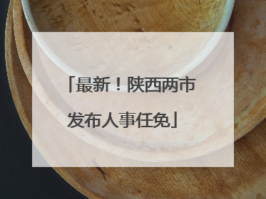 最新！陕西两市发布人事任免