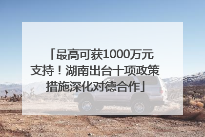 最高可获1000万元支持！湖南出台十项政策措施深化对德合作