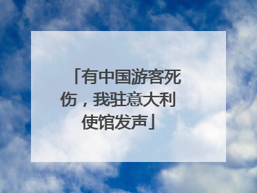 有中国游客死伤，我驻意大利使馆发声