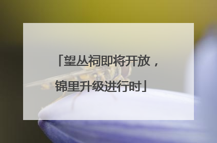 望丛祠即将开放，锦里升级进行时