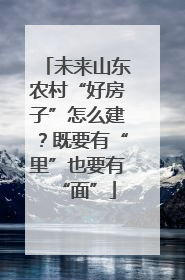 未来山东农村“好房子”怎么建？既要有“里”也要有“面”