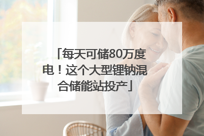 每天可储80万度电！这个大型锂钠混合储能站投产
