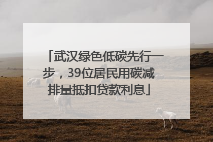 武汉绿色低碳先行一步，39位居民用碳减排量抵扣贷款利息