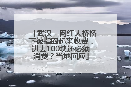 武汉一网红大桥桥下被指圈起来收费，进去100块还必须消费？当地回应