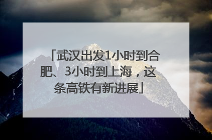 武汉出发1小时到合肥、3小时到上海，这条高铁有新进展