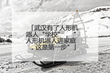 武汉有了人形机器人“学校”，“人形机器人进家庭，这是第一步”