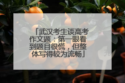 武汉考生谈高考作文题：第一眼看到题目很慌，但整体写得较为流畅
