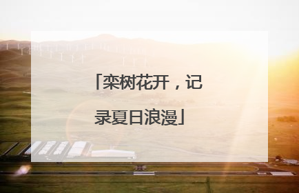 栾树花开，记录夏日浪漫