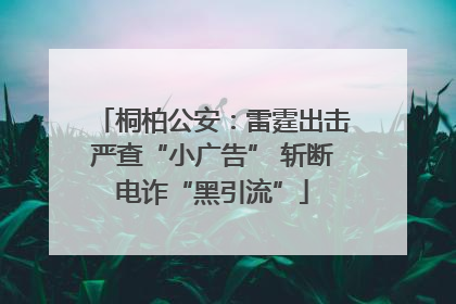 桐柏公安：雷霆出击严查“小广告” 斩断电诈“黑引流”