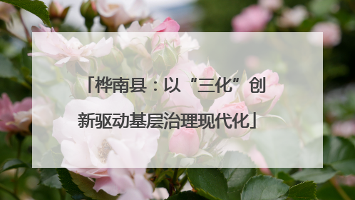 桦南县：以“三化”创新驱动基层治理现代化