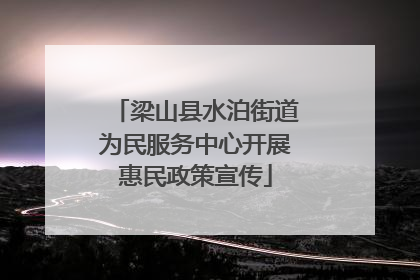 梁山县水泊街道为民服务中心开展惠民政策宣传