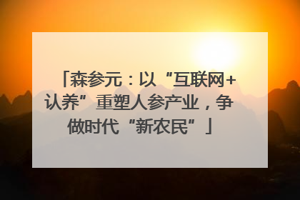 森参元：以“互联网+认养”重塑人参产业，争做时代“新农民”