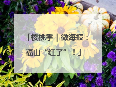 樱桃季｜微海报：福山“红了”！