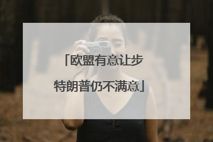 欧盟有意让步 特朗普仍不满意